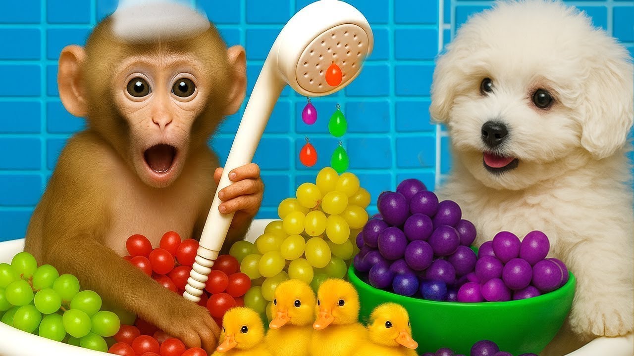 Beb&eacute; Mono DuDu se da un ba&ntilde;o de arco&iacute;ris y come uvas con un lindo cachorro - MONKEY DUDU
