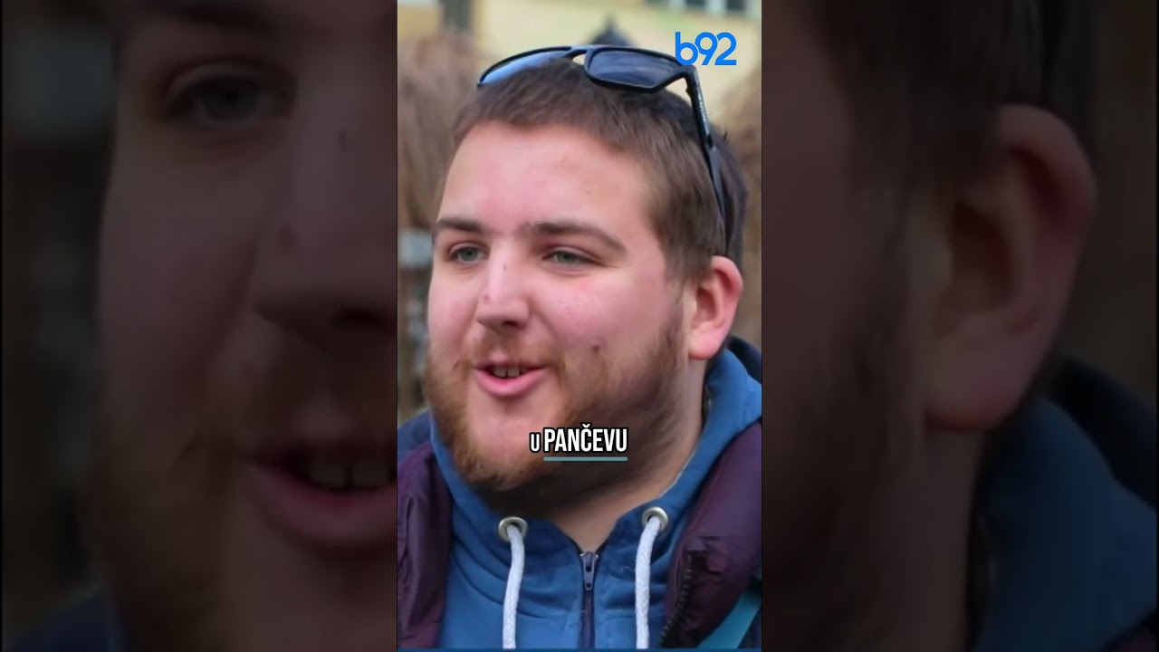 Gde se održava manifestacija ''Dani Vajferta'' #shorts #b92