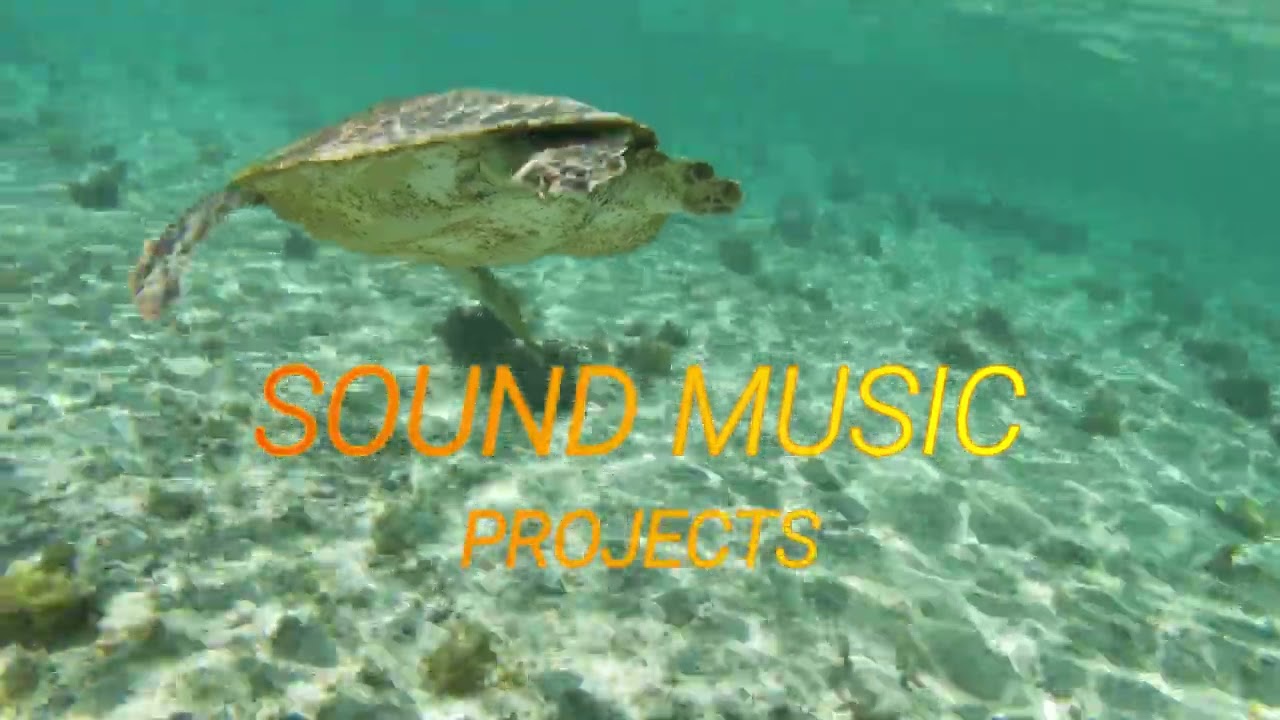 SOUND MUSIC PROJECTS 09,NOVEMBER 2024 #musikdj #musikhits #music #musikviral