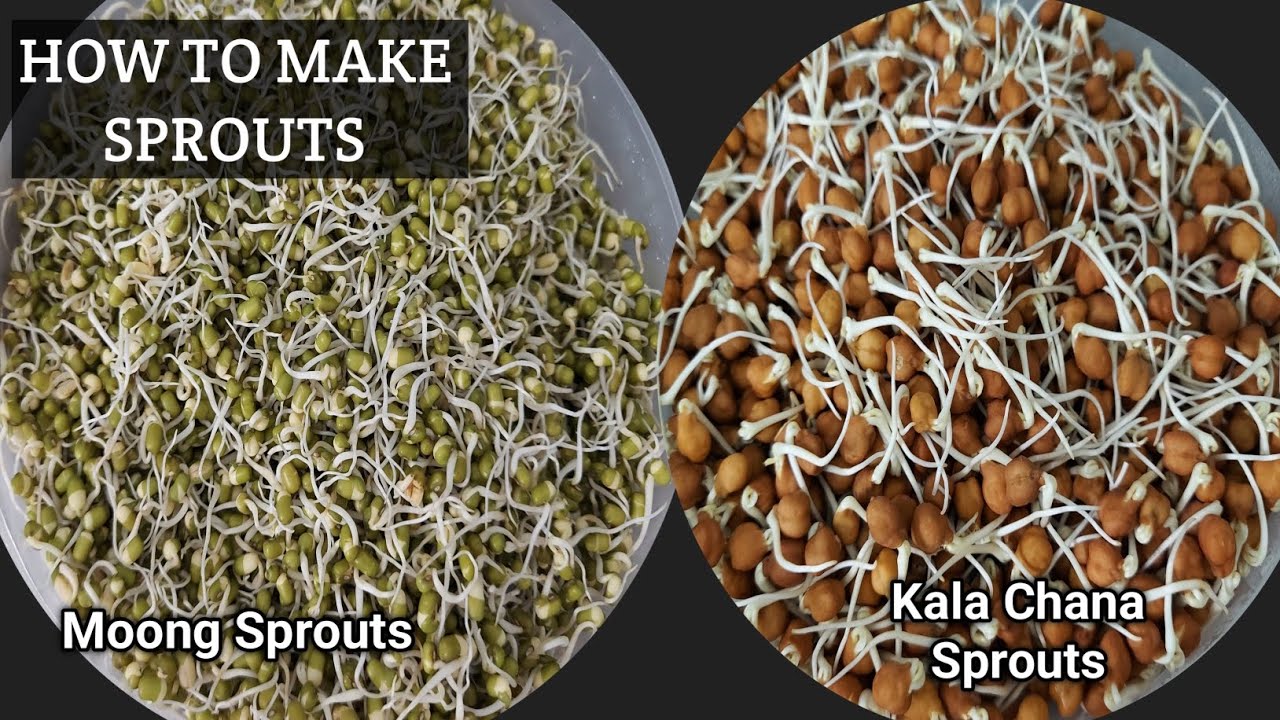 How to Make Sprouts | Moong Sprouts | Chana Sprouts | Simple way to Grow Sprouts in 2 Days |