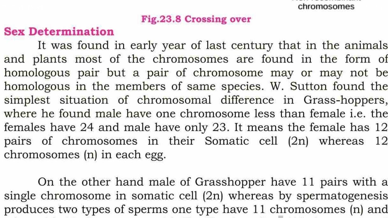 sex determination || inheritance || class 12 biology Sindh board new book