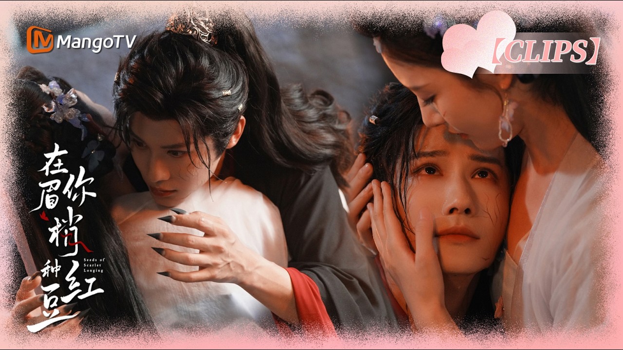 帥氣王爺妖化變身野獸把自己關進水牢，小女妖為了讓他回復神志親入水牢安撫，冷酷王爺瞬間變身委屈小狗倒在她懷裡~｜在你眉梢种红豆Seeds of Scarlet Longing 郑业成✖赵晴