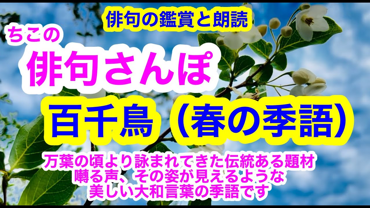 【俳句さんぽ・第116回】百千鳥（春）万葉の頃より詠まれてきた題材です。囀る声、その姿が見えるような美しい大和言葉の季語です。