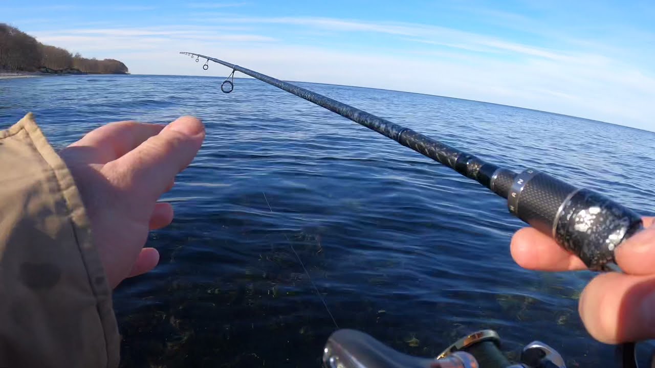 Havørred fiskeri i Søholm på Stevns Klint.