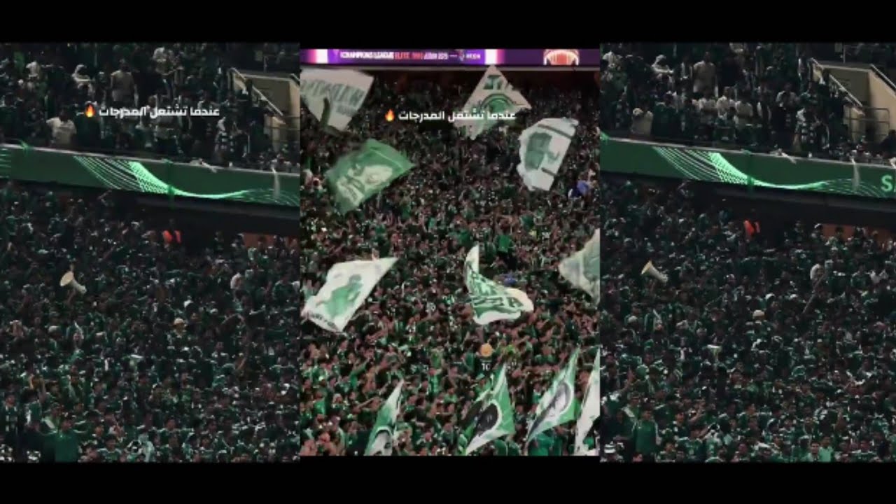 الأهلاوية يتصدرون الترند العالمي في تطبيق،،،، X💚