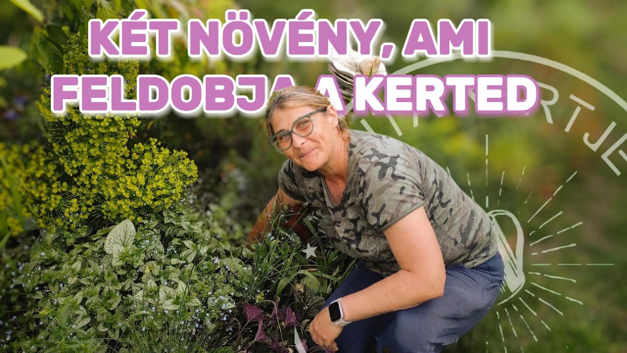 Ez a két tavaszi növény minden kertbe kell! 🌸 | Kaukázusi Nefelejcs és Szineváltó Kutyatej bemutató
