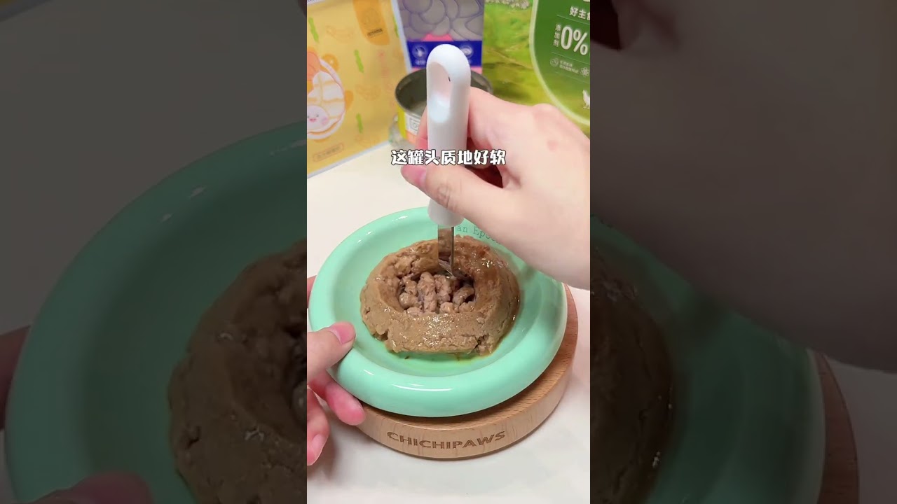 Kitten Private chef oversized wagyu so big that it can t fit on the screen#Cat meals#Raw f