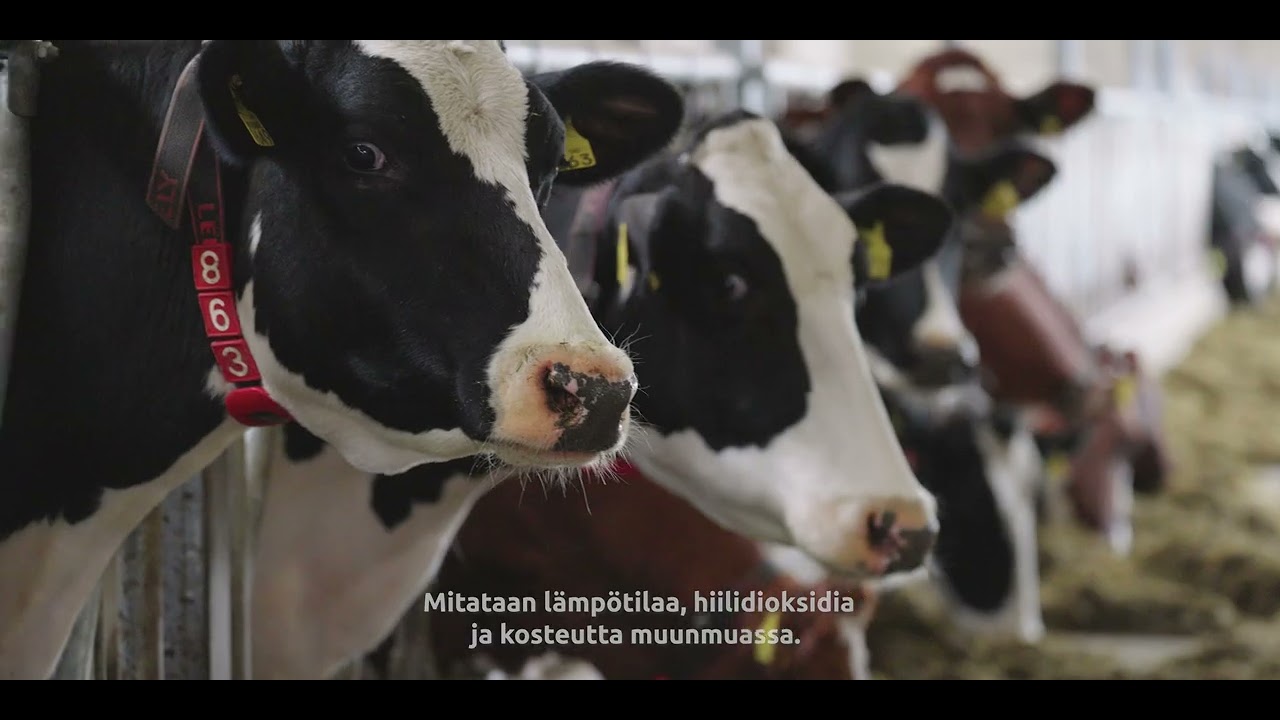 Älymaatalous