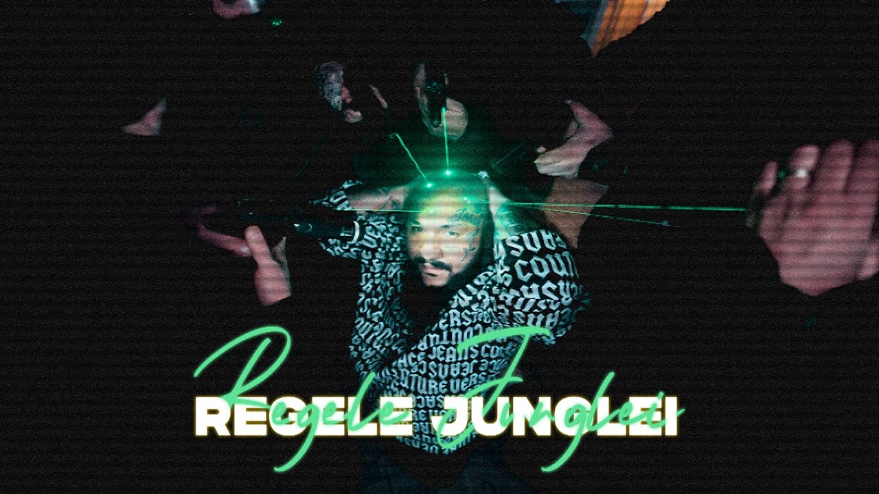 Dani Mocanu 🦁 Regele Junglei 👑 Official Video