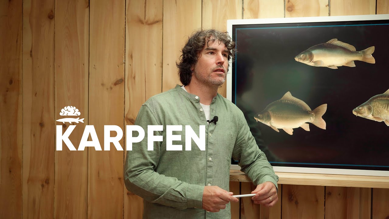 Der KARPFEN im Detail!