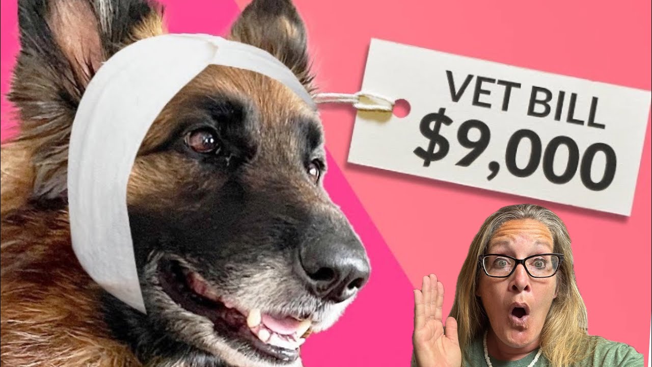 PET INDUSTRY SCAM: The FIGHT for your PETS HEALTH