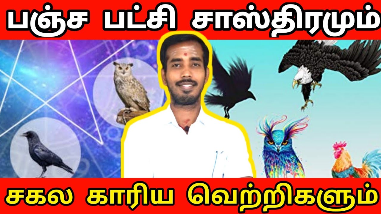 பஞ்ச பட்சி சாஸ்திரமும் சகல காரிய வெற்றிகளும் | panchapatchi sasthiram secrets | sara kalai