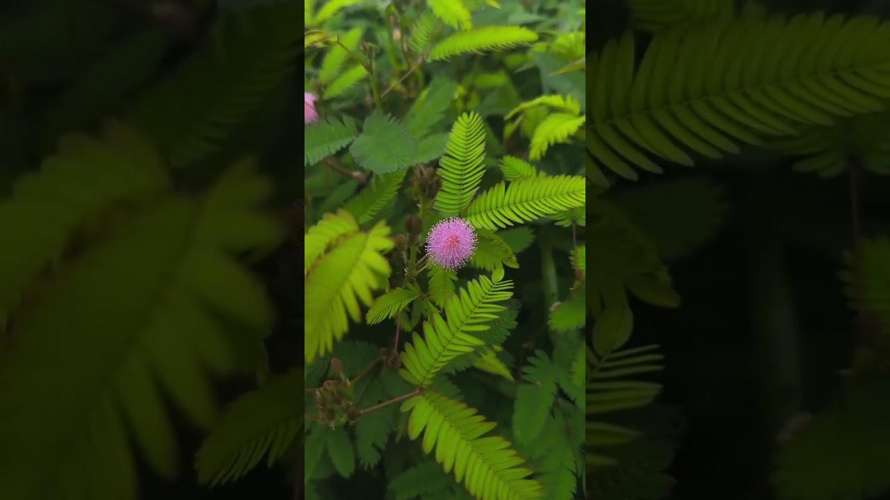 Be with nature 💞