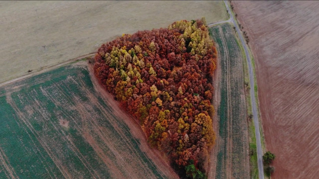 Podzim Rakovnicko - autumn in czech October -  November 2018