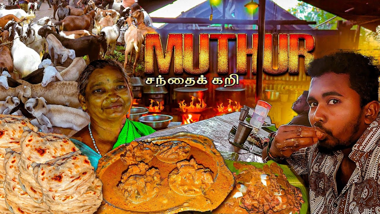 🔥முத்தூர் ஆட்டு சந்தை குடல் கறி குழம்பு | MUTHUR GOAT MARKET HOTEL | MUTTON RECIPE | FOOD REVIEW K7