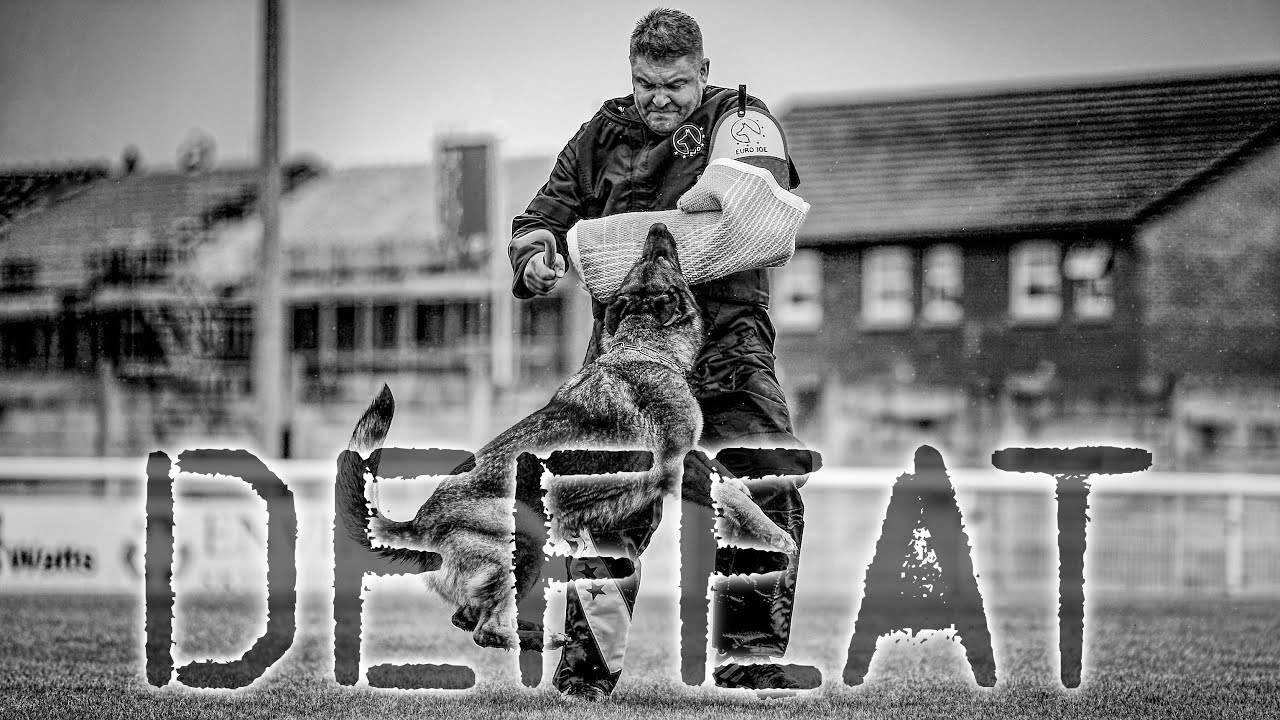 DEFEAT Dog Sport Inspiration Motivation Video WUSV Universal Sieger 2019 Compilation