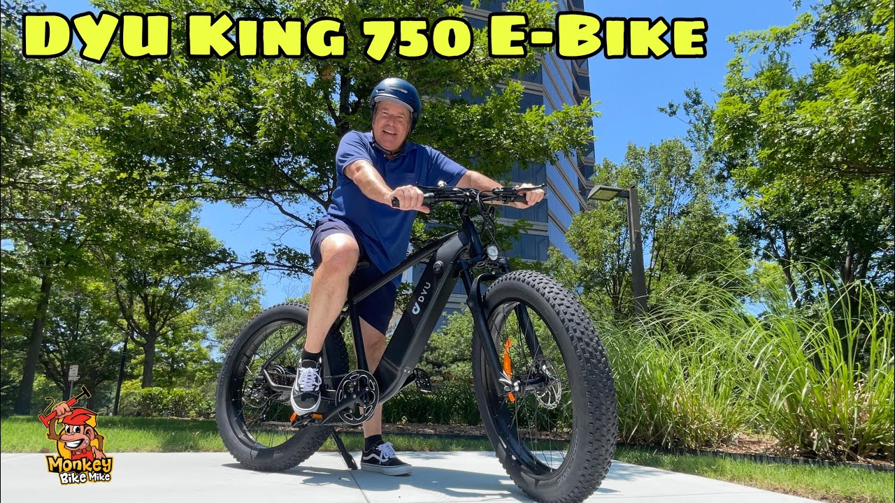 Ebike Review: The DYU King 750!!