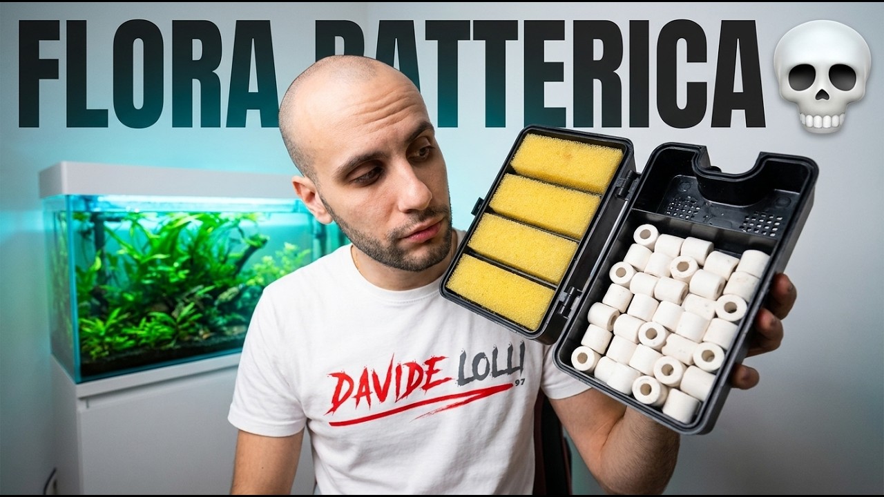 Ho quasi ucc*so la flora batterica? La verità sul secondo filtro