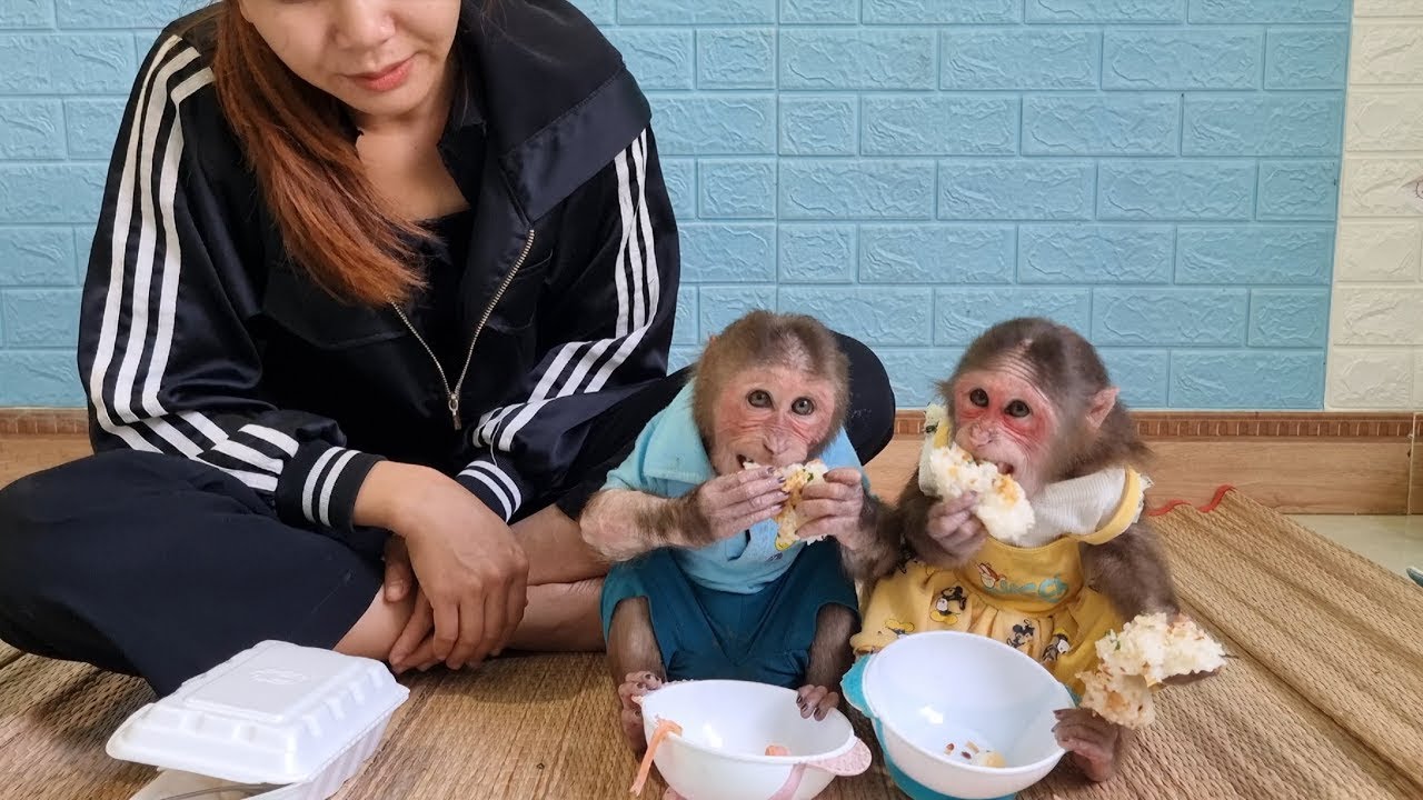 Monkey Kuku picks Mom up from the market for breakfast