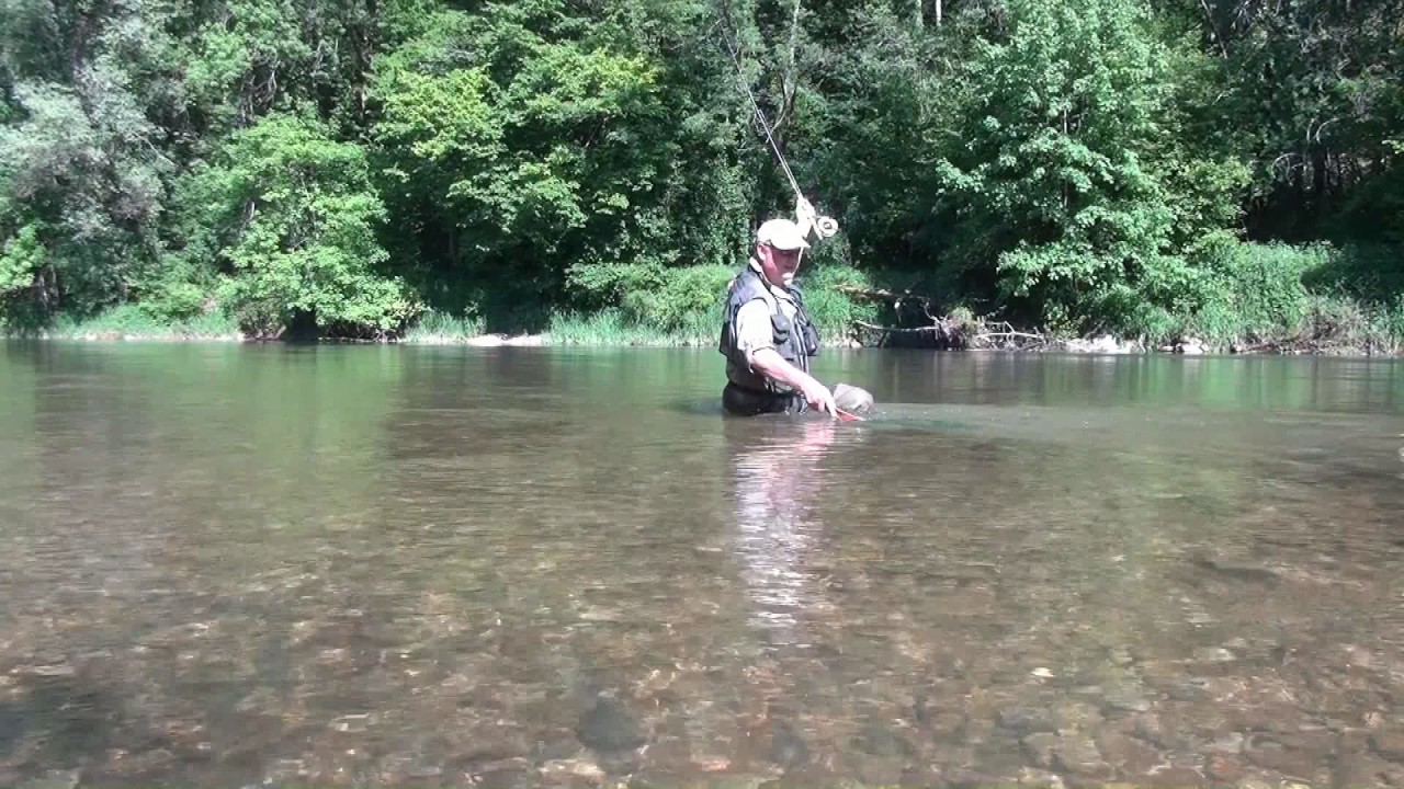 Peche à vue sur la Loue