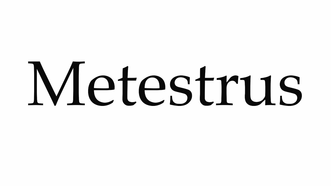 How to Pronounce Metestrus