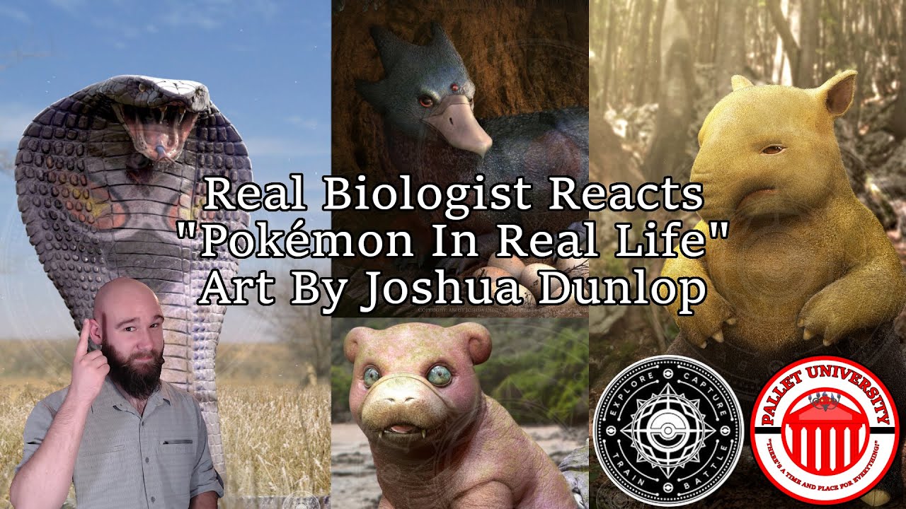 REAL Biologist Reacts To 