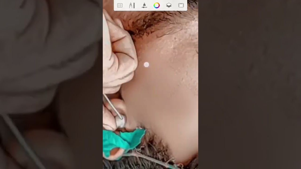 #Autodesk Sketchbook Oil Paint Photo Editing #treanding Short