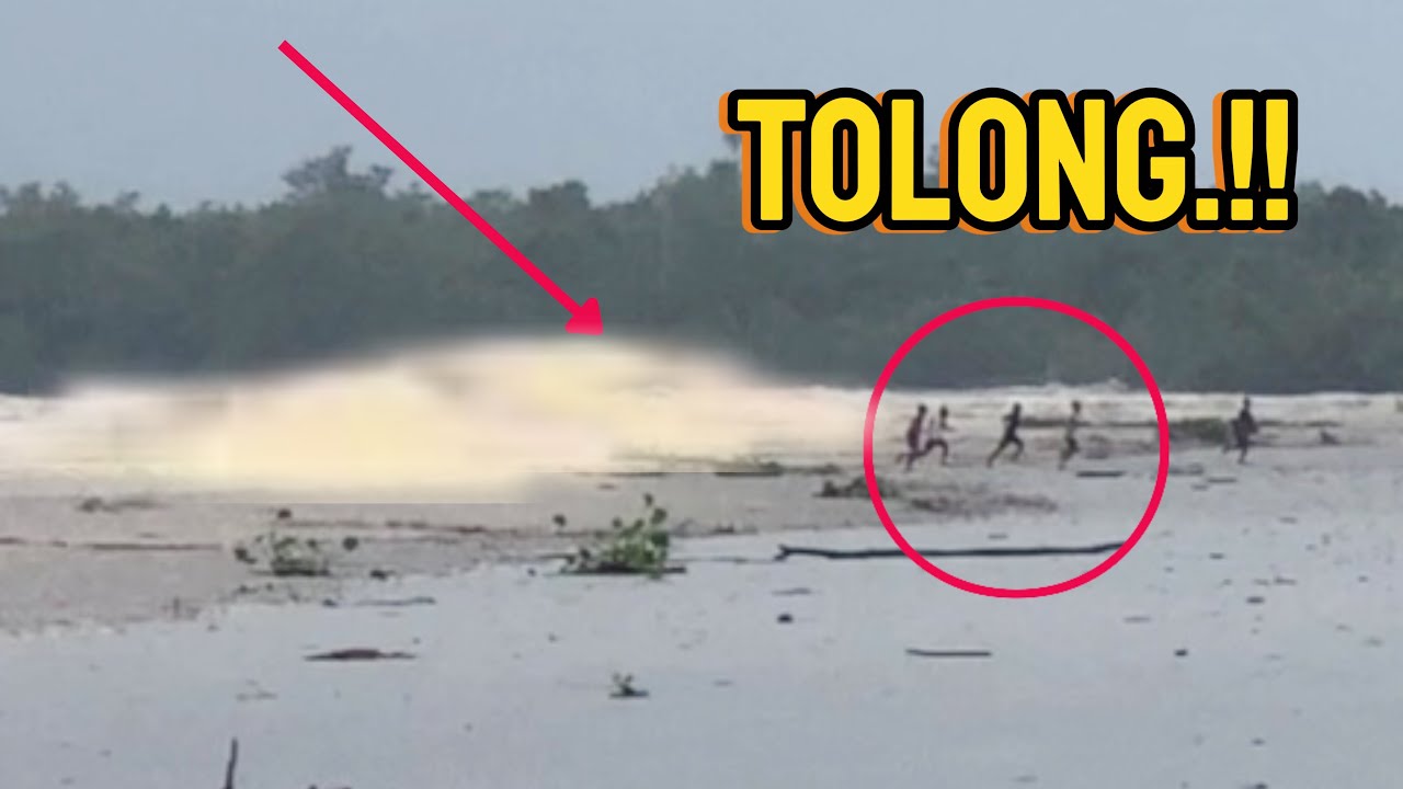 Panik melihat Gelombang besar yang dahsyat  07 Desember 2024 (river tidal waves)#subscribe