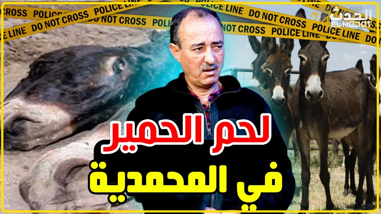 الطاهر سعدون يكشف تفاصيل خطيرة حول قضية لحوم الحمير لي لقاو فالمحمدية...
