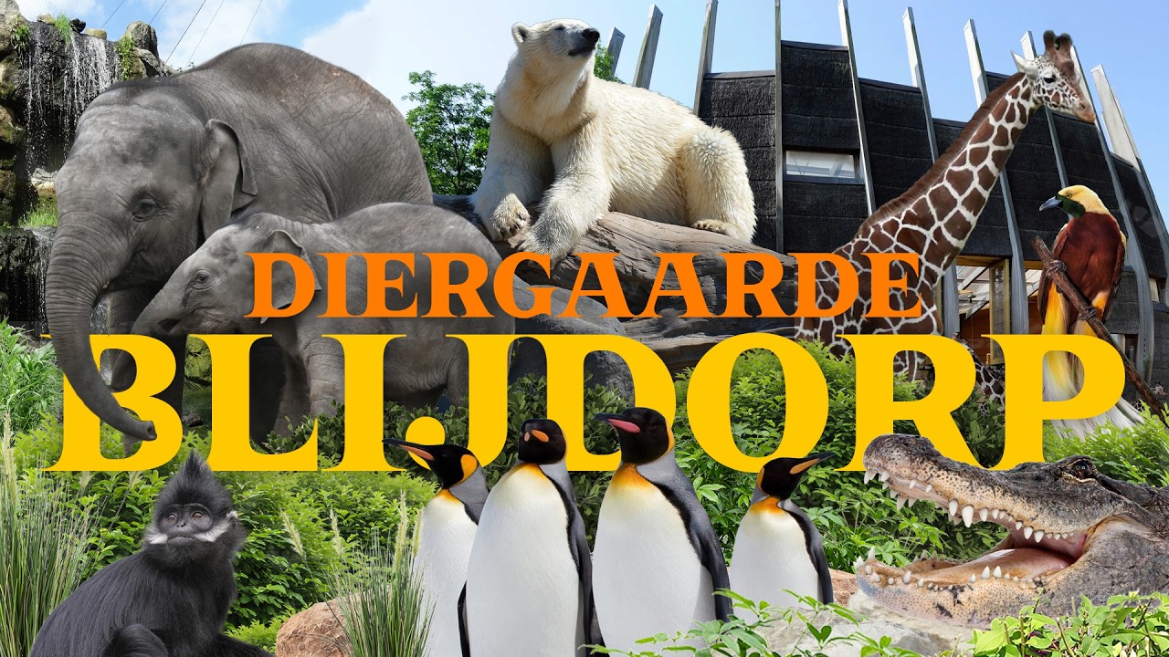 Rotterdam Zoo Feels World-Class! But Its Future Is Uncertain... | Blijdorp Review