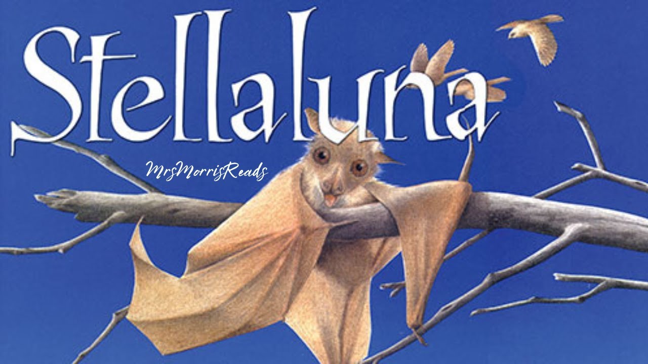 STELLALUNA   Read Aloud