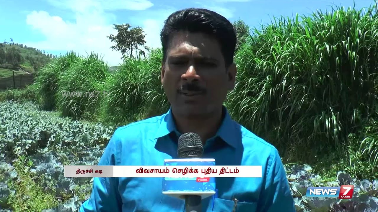 New cultivation technique benefits farmers in Nilgiri | Tamil Nadu | News7 Tamil