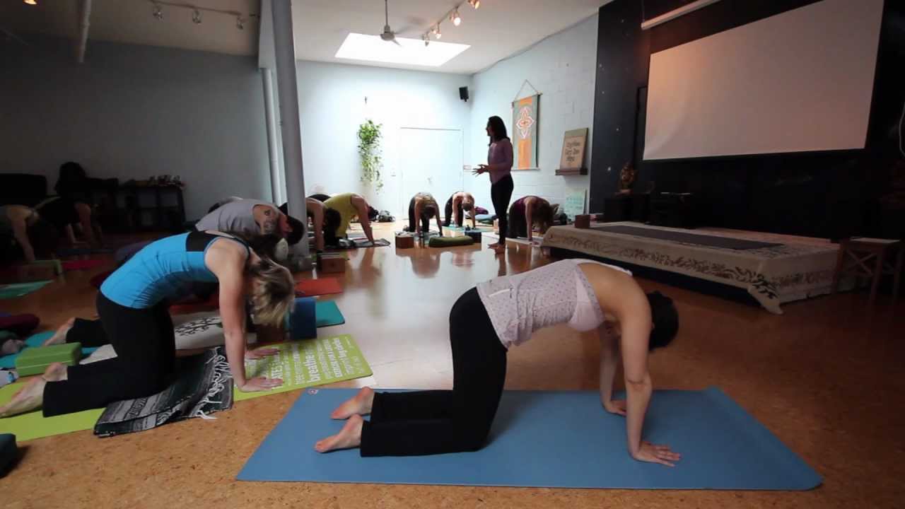 Yin Yoga Training - LexiYoga
