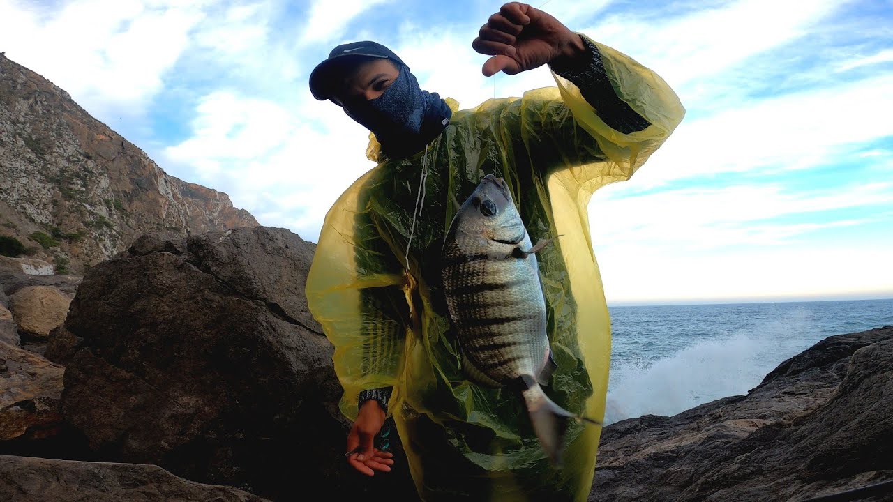 Sargos fishing: I camped in a cave by the sea, catching fish with simple bait