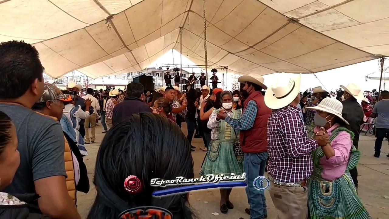 Polkitas bonitas | San Francisco Tepeolulco 2021  | TepeoRanch Oficial
