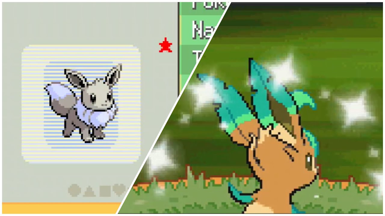 Live Shiny Eevee in Pearl after 14,675 Srs!! (Evolutions Showcase)