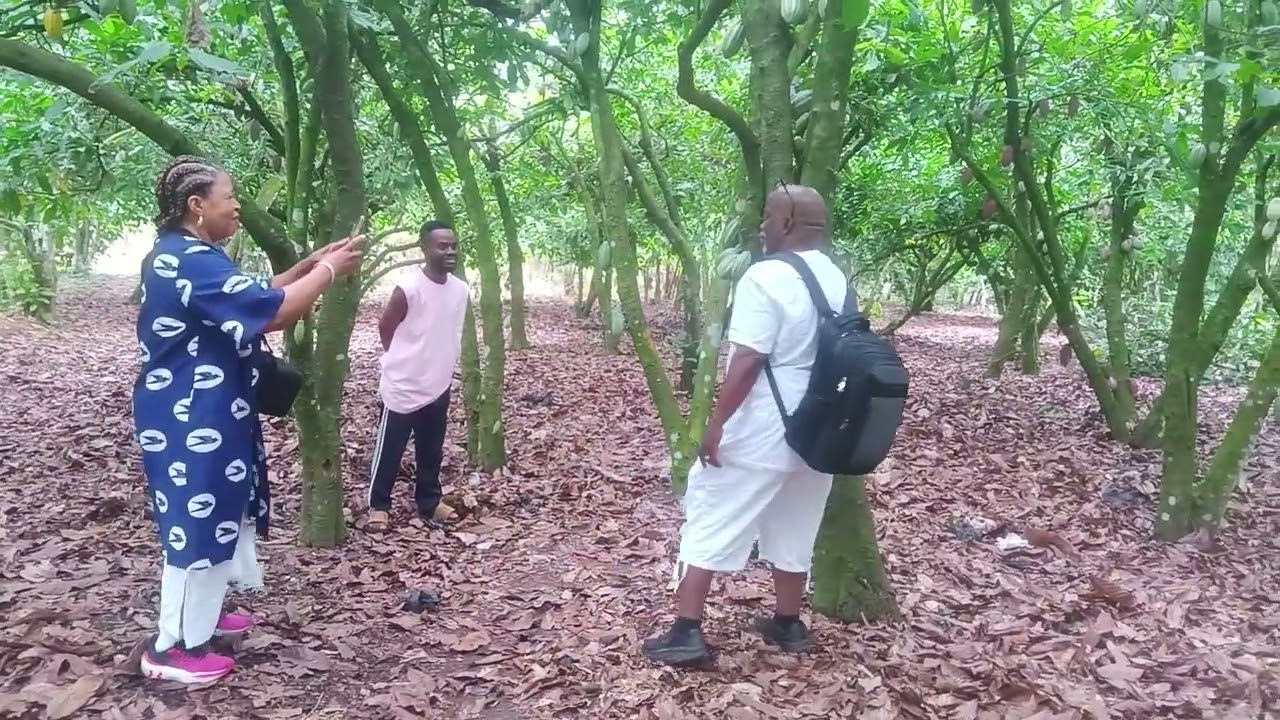 Welcome to Adanwomase eco tourism village, ur home African cultural amenities .