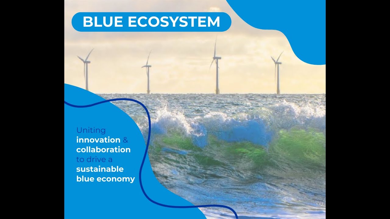 [MEET OUR PROJECTS] | BLUE ECOSYSTEM