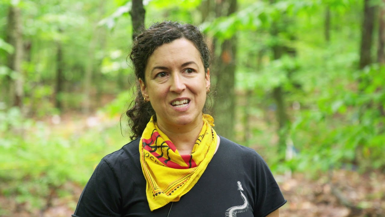 Climate Change Goes Underground: Harvard Forest Long-Term Ecological Research Program