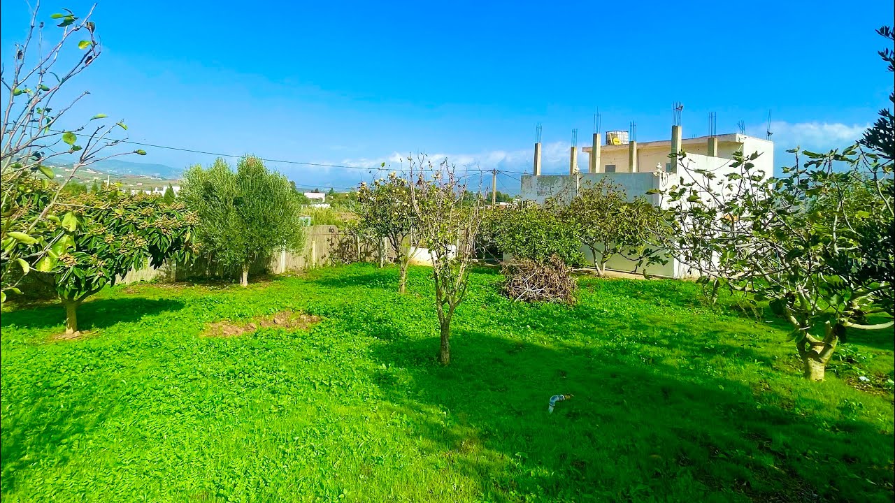 دار وغرسة راءعة مليئة باشجار الفواكة والزيتون واصل الماء والكهرباء0703640826نواحي الخميس انجرة طنجة