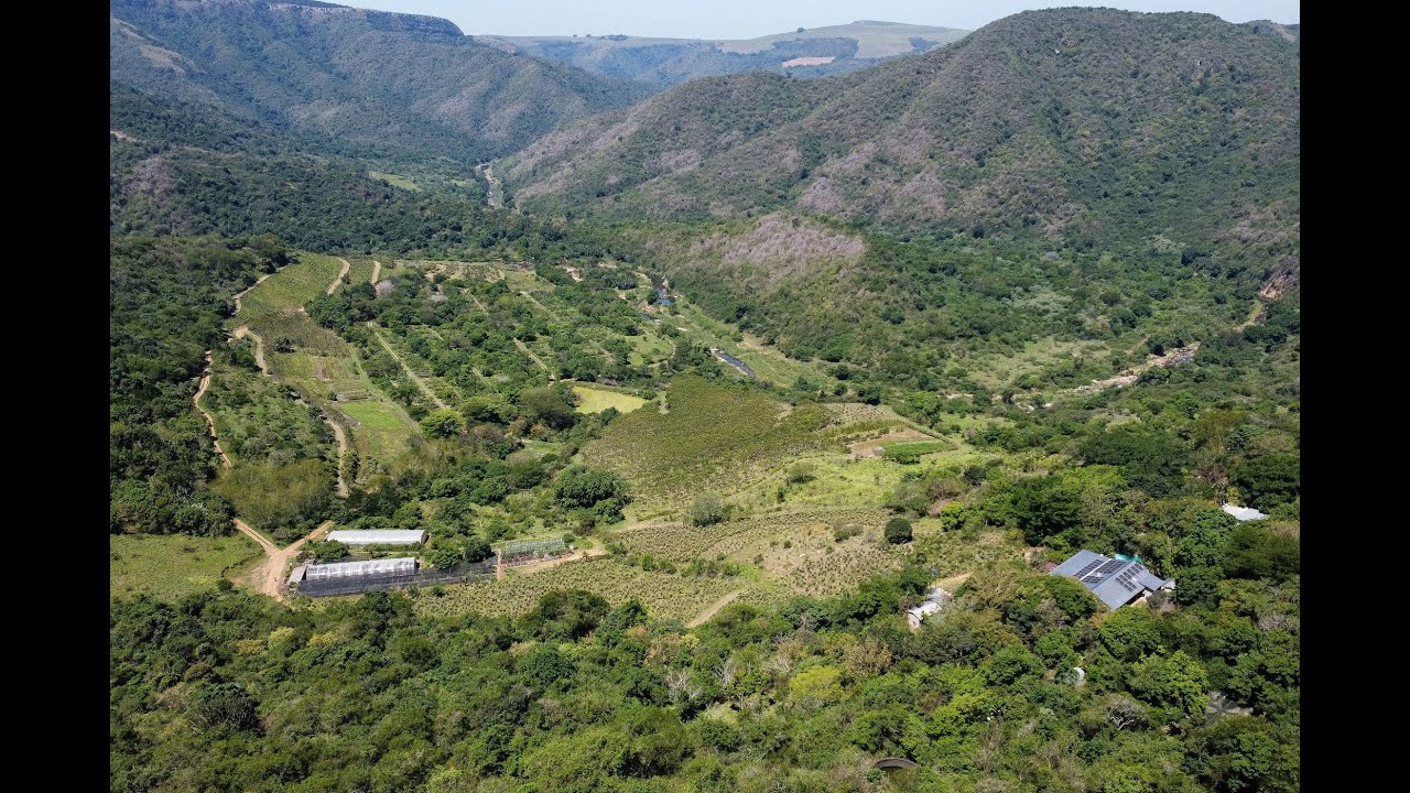 Mixed use farm for sale in Camperdown