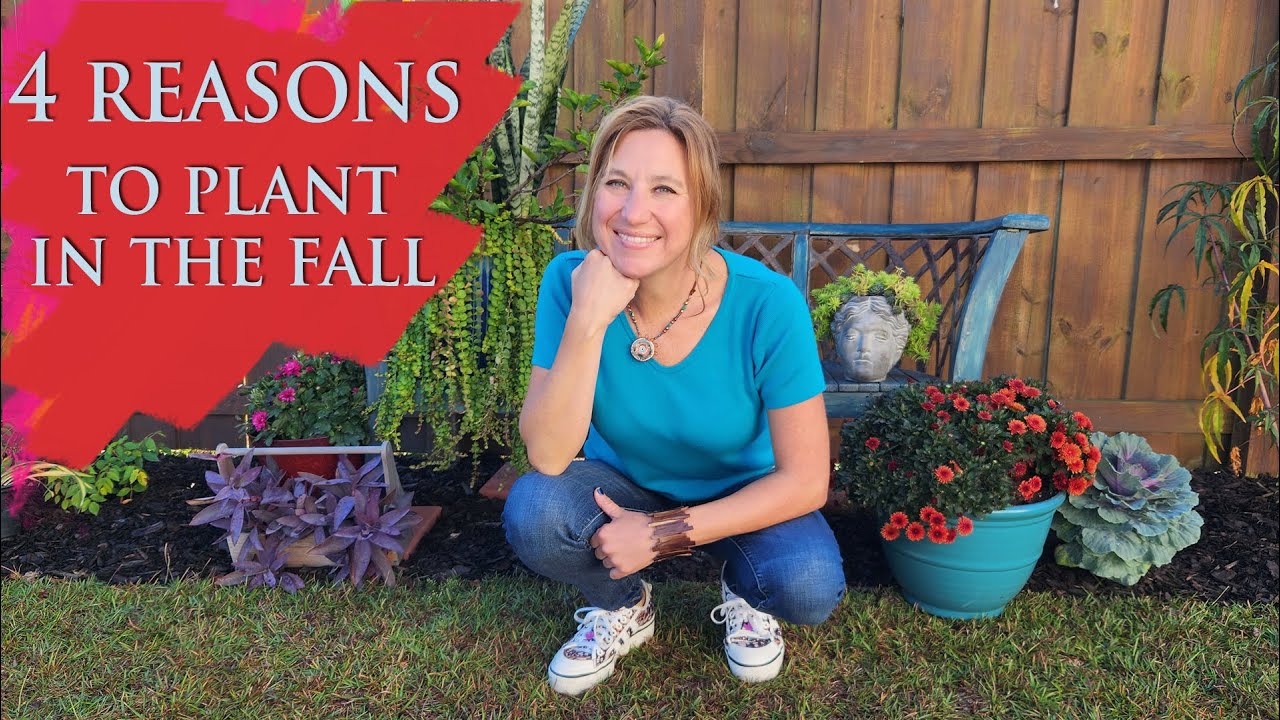 4 Reasons to Plant in Fall!! | My Carolina Garden