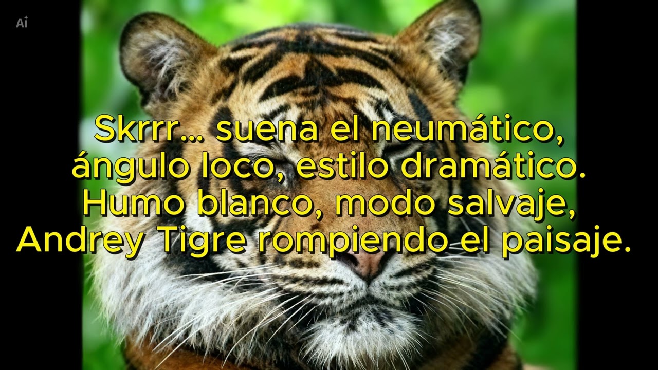 Andrey tigre  en  la rotonda