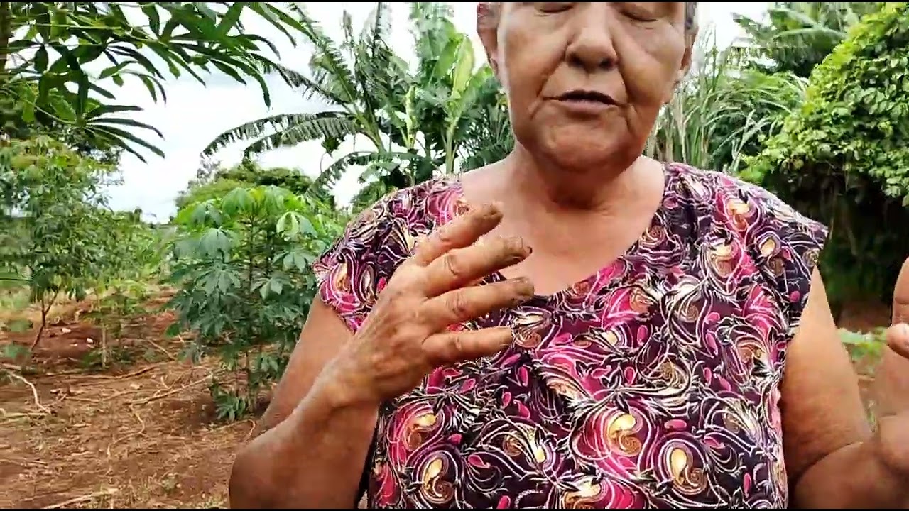 9 de fevereiro de 2026