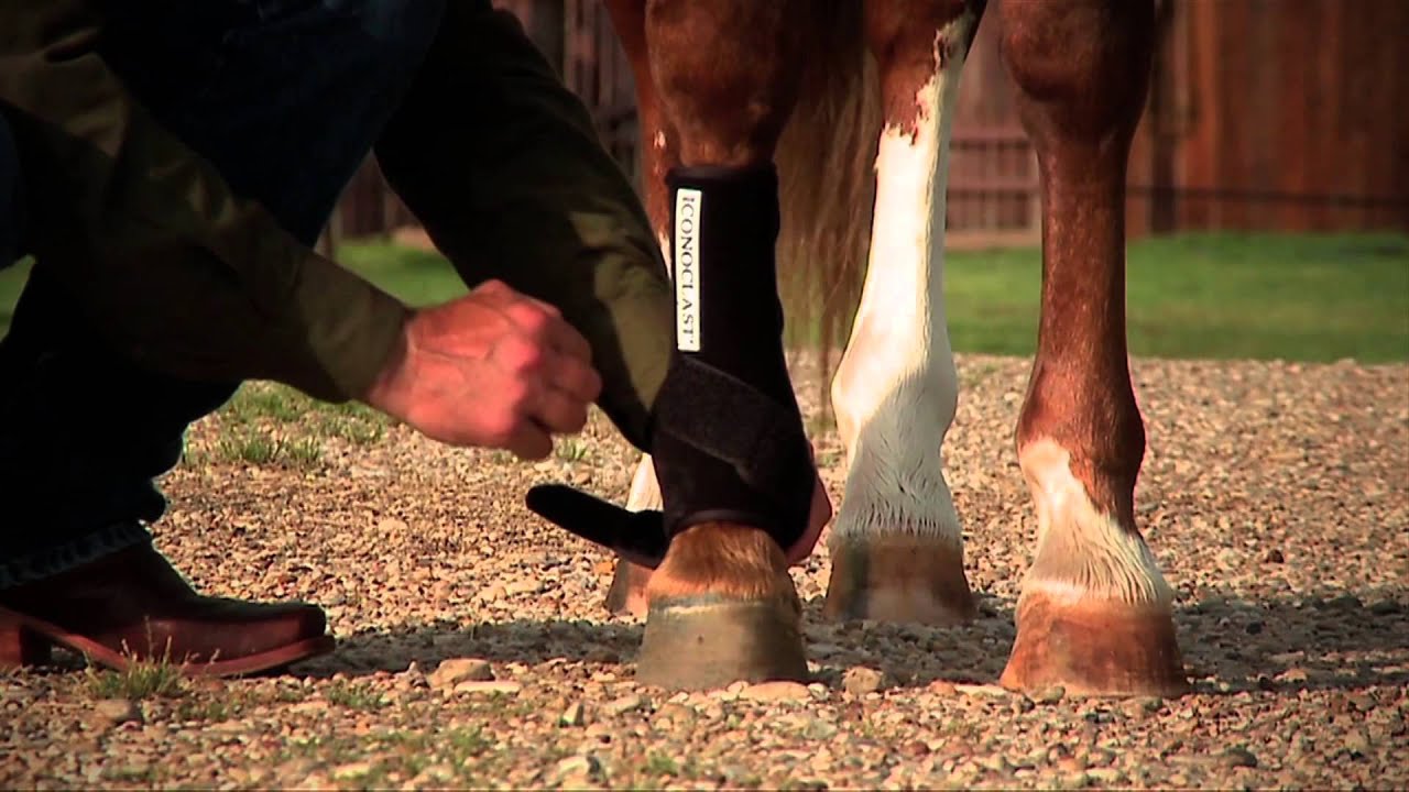 How to Fit & Apply Your Iconoclast Equine Support Boots