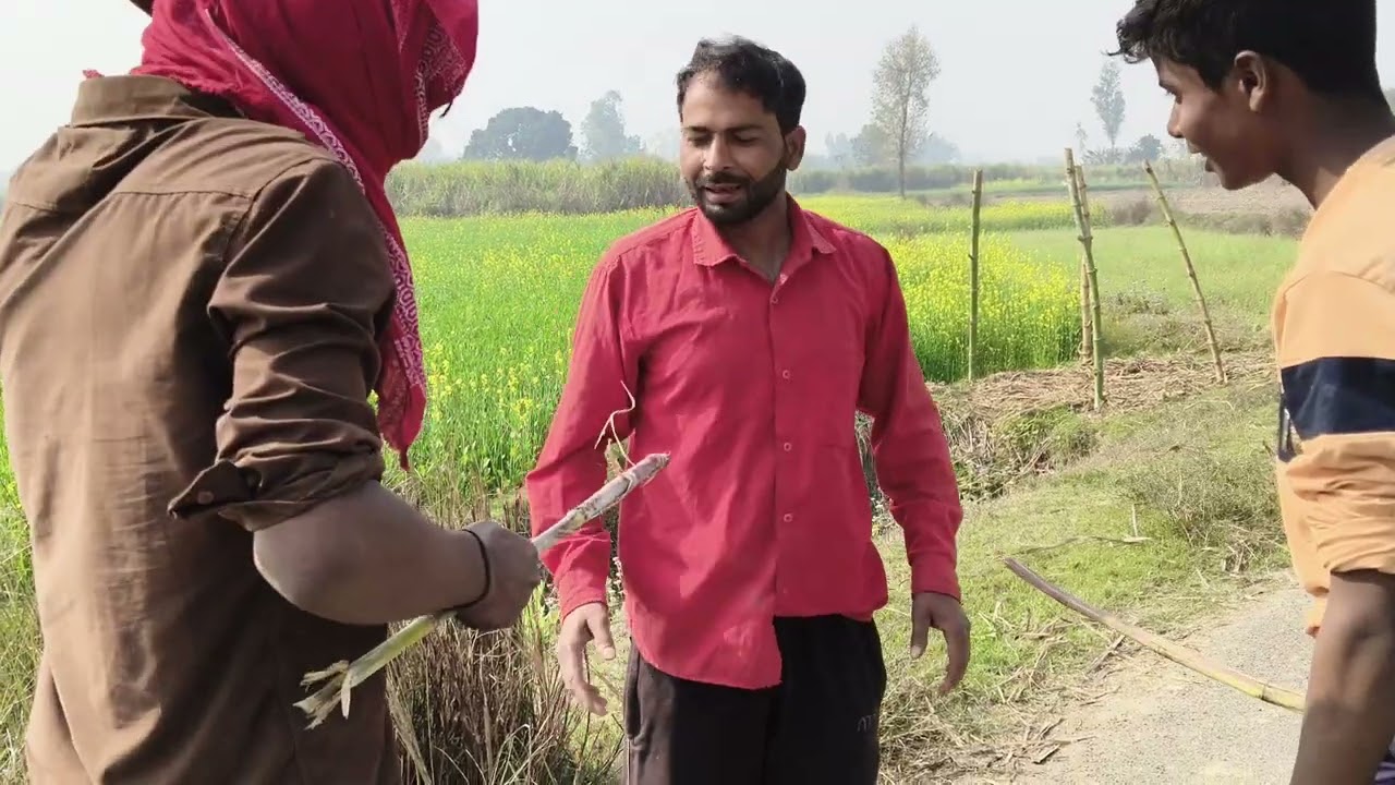 Funny comedy##trending viral video