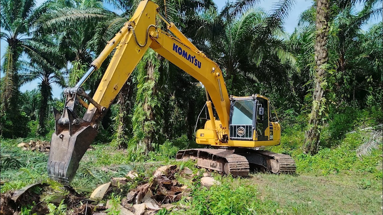 มาแล้ว! เจมส์ อ่าวตง สับปาล์มน้ำมัน 6 ไร่ ซอยเร็วแรงทะลุนรกเหมือนเดิม!