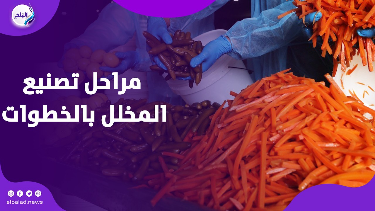 فاكهة المصريين على الفطار .. مراحل تصنيع المخلل خطوة بخطوة من المصنع إستعدادا لشهر رمضان