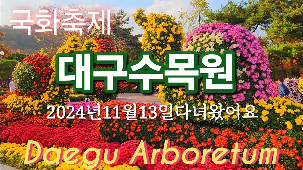 대구수목원 국화축제 #2024년11월13일다녀왔어요#대구 달서구#Daegu Arboretum