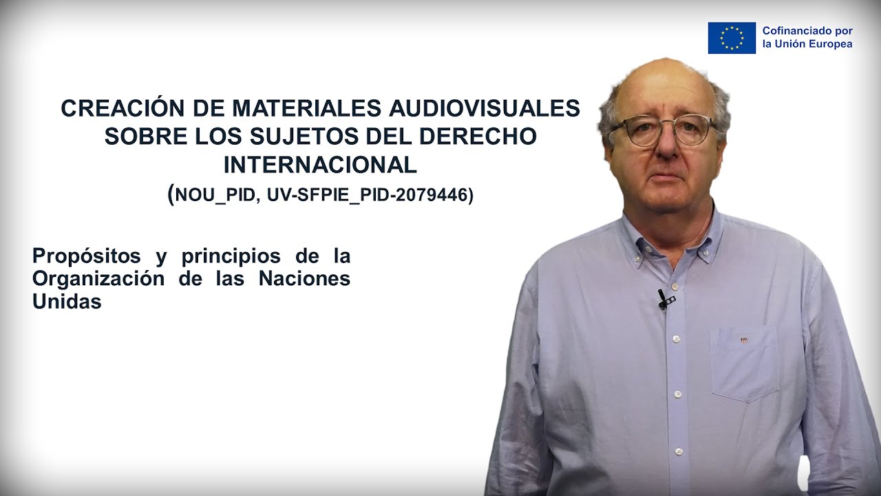 Propósitos y principios de la Organización de las Naciones Unidas